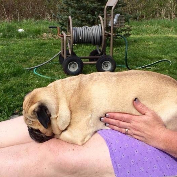 Meet your Posher, Melina - Picture 12 of 12